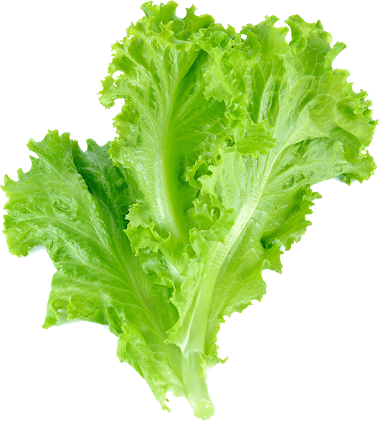 FlavoBox